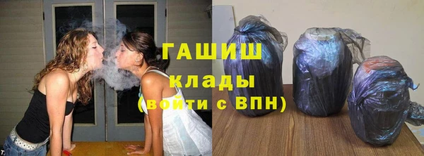 индика Верхний Тагил