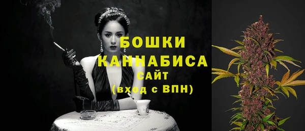 ГАЛЛЮЦИНОГЕННЫЕ ГРИБЫ Пересвет