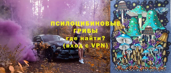 герыч Вязьма